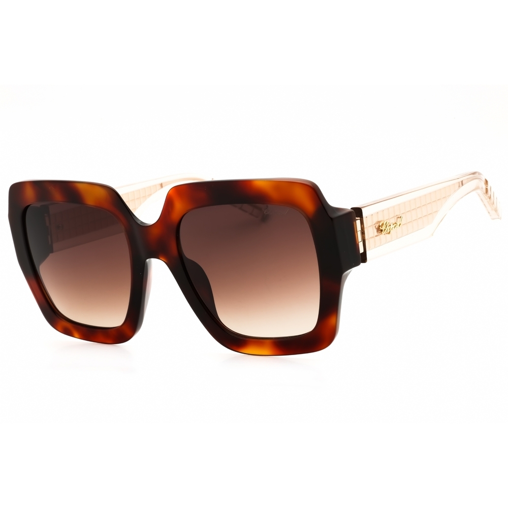 Nwt Chopard Sch363m Havana Oversized 55mm Sunglasses